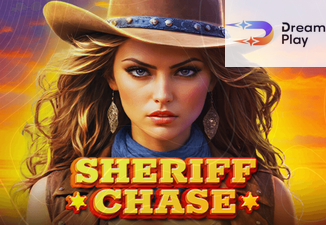 Sheriff Chase Coin Chase